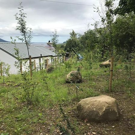 An Bothan-Cosy Cottage In The Cooley Mountains Dundalk Exteriör bild