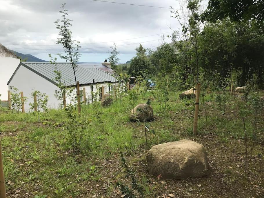 An Bothan-Cosy Cottage In The Cooley Mountains Dundalk Exteriör bild