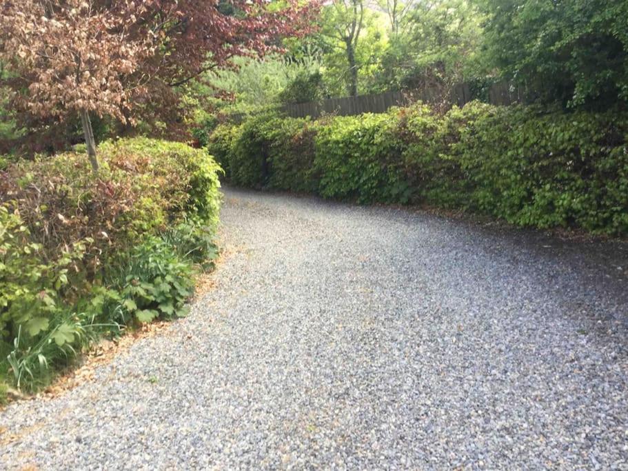 An Bothan-Cosy Cottage In The Cooley Mountains Dundalk Exteriör bild