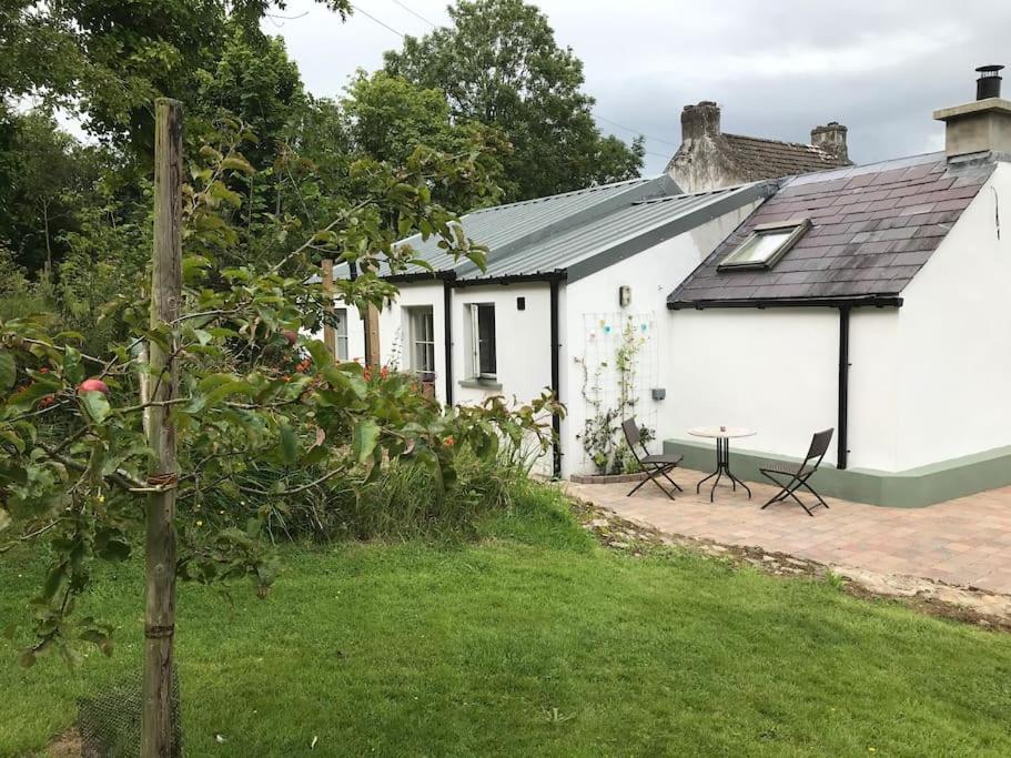 An Bothan-Cosy Cottage In The Cooley Mountains Dundalk Exteriör bild