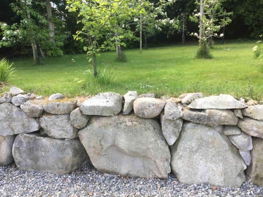 An Bothan-Cosy Cottage In The Cooley Mountains Dundalk Exteriör bild