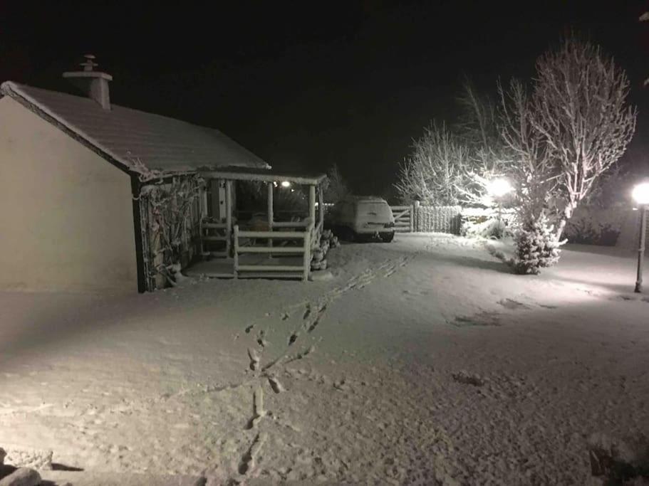 An Bothan-Cosy Cottage In The Cooley Mountains Dundalk Exteriör bild